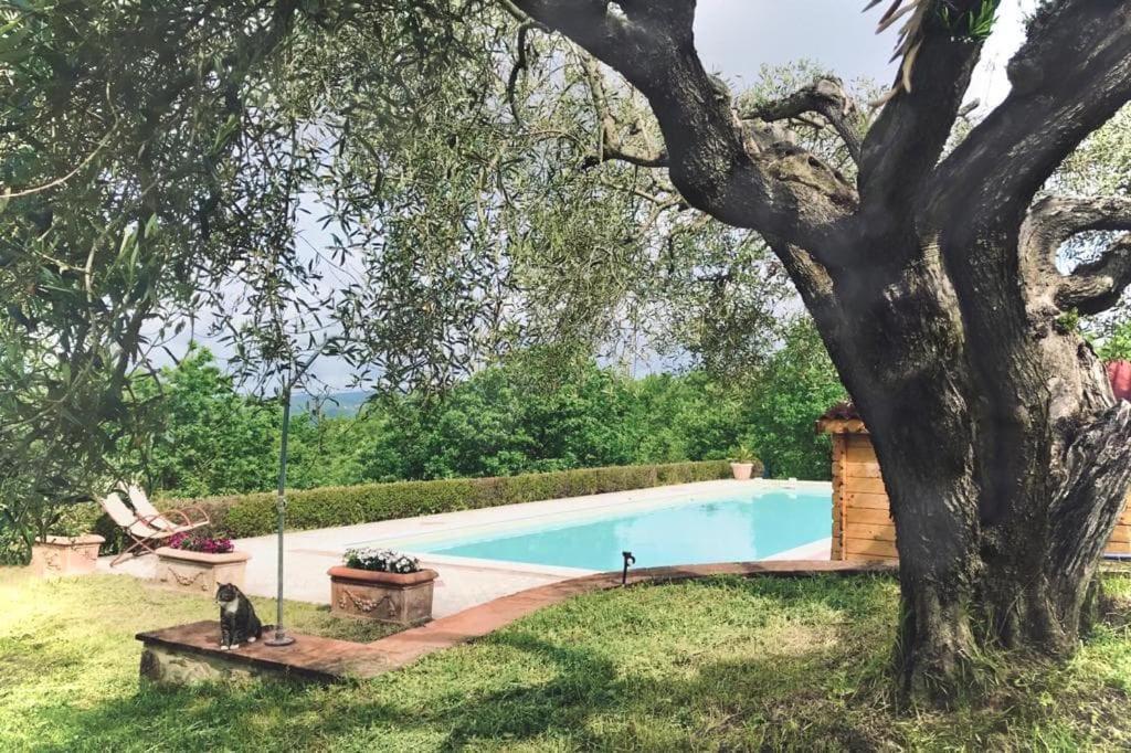 La Coccinella Apartment San Venanzo Екстериор снимка