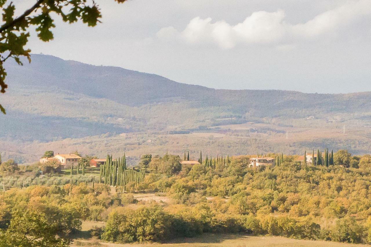 La Coccinella Apartment San Venanzo Екстериор снимка