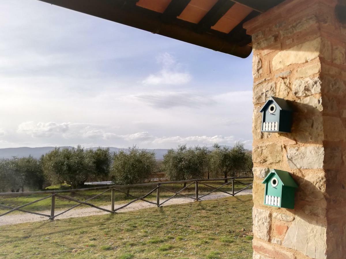 La Coccinella Apartment San Venanzo Екстериор снимка