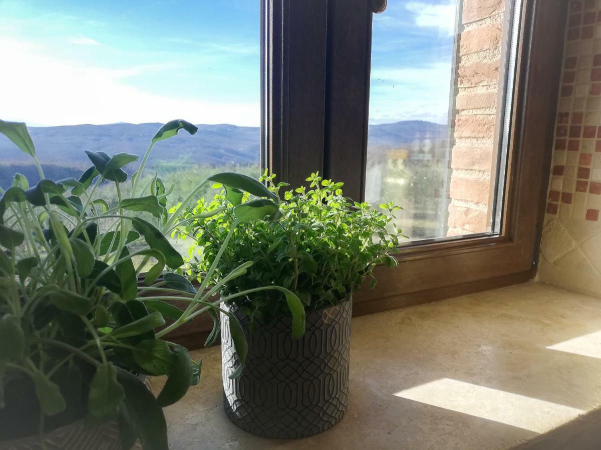 La Coccinella Apartment San Venanzo Екстериор снимка